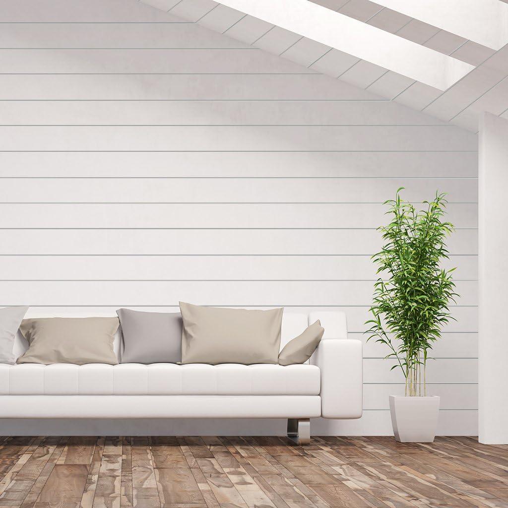 Kimberly Bay 7.25" x 84" Shiplap Wall Paneling in Primed White