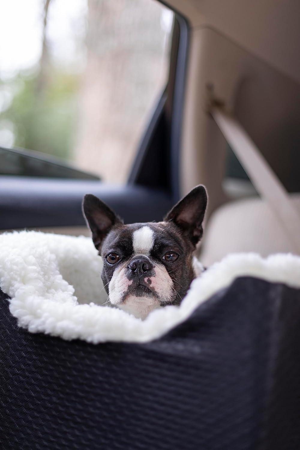 Small Black Soft-Sided Dog Carrier with Sherpa Interior