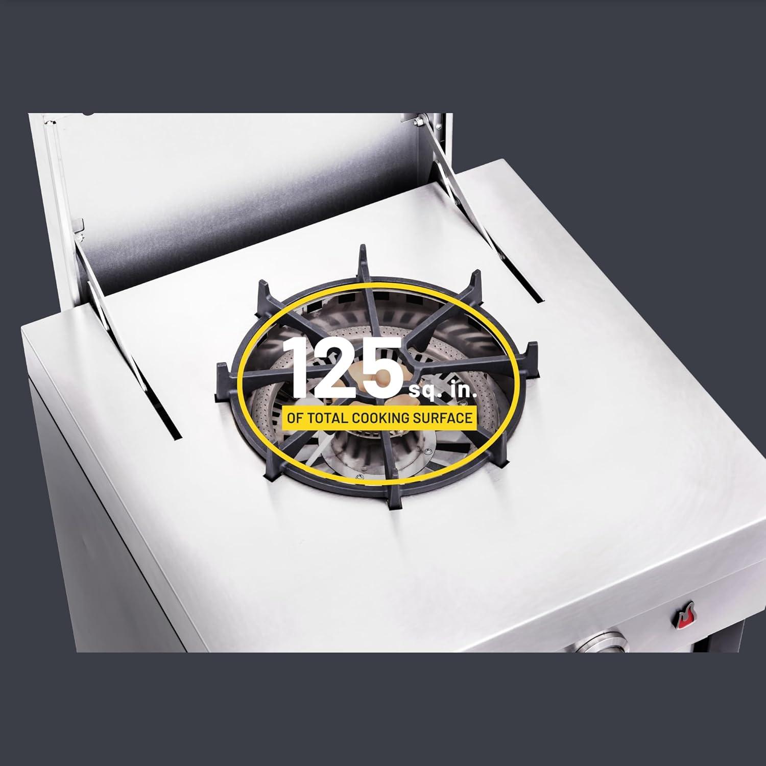 Charbroil Medallion Series Modular Outdoor Kitchen 2 - Burner Propane/Natural Gas Stove Component