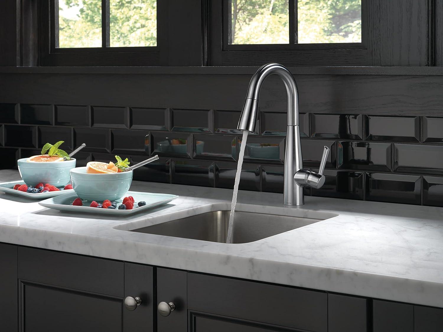 Arctic Stainless Transitional Pull-Out Spray Kitchen Faucet