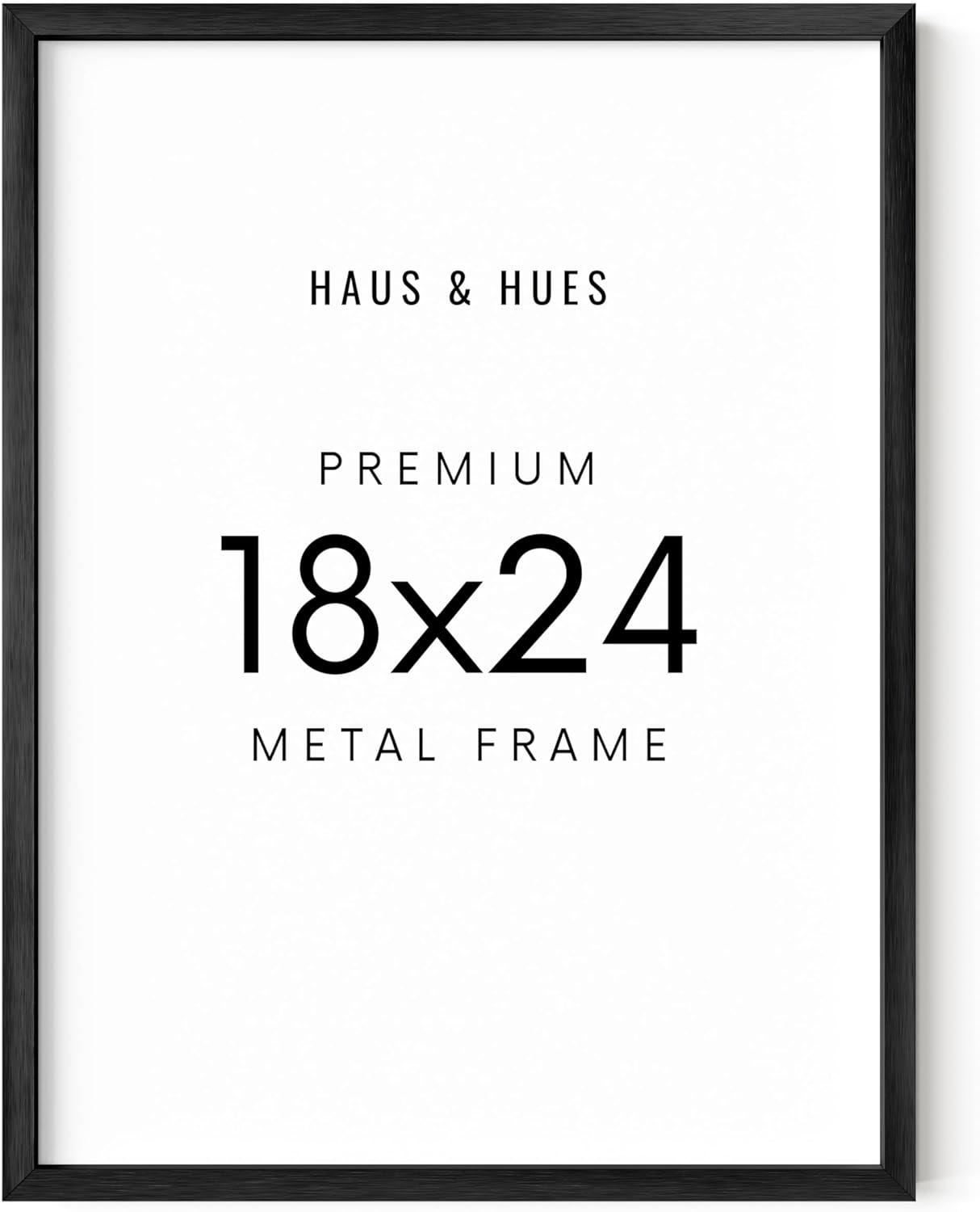 Haus and Hues Aluminum Frame (Set Of 1) Metal Picture Frame