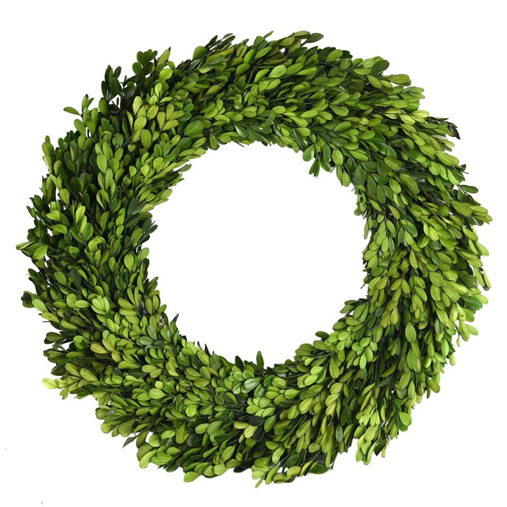 Alby Preserved Boxwood Real Greenery Wreath