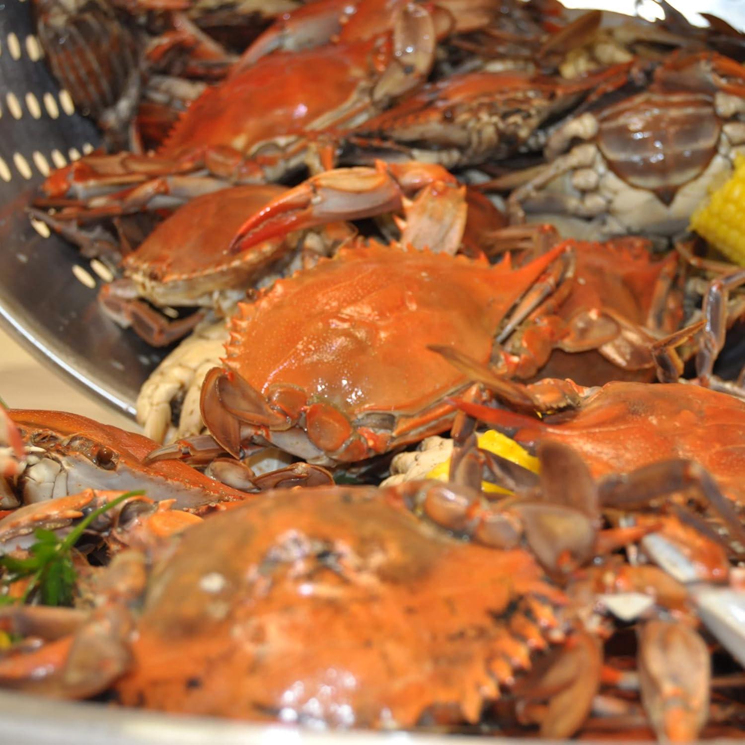 Bayou Classic KDS-144 44 qt Stainless Boil Steam Fry Pot Stock