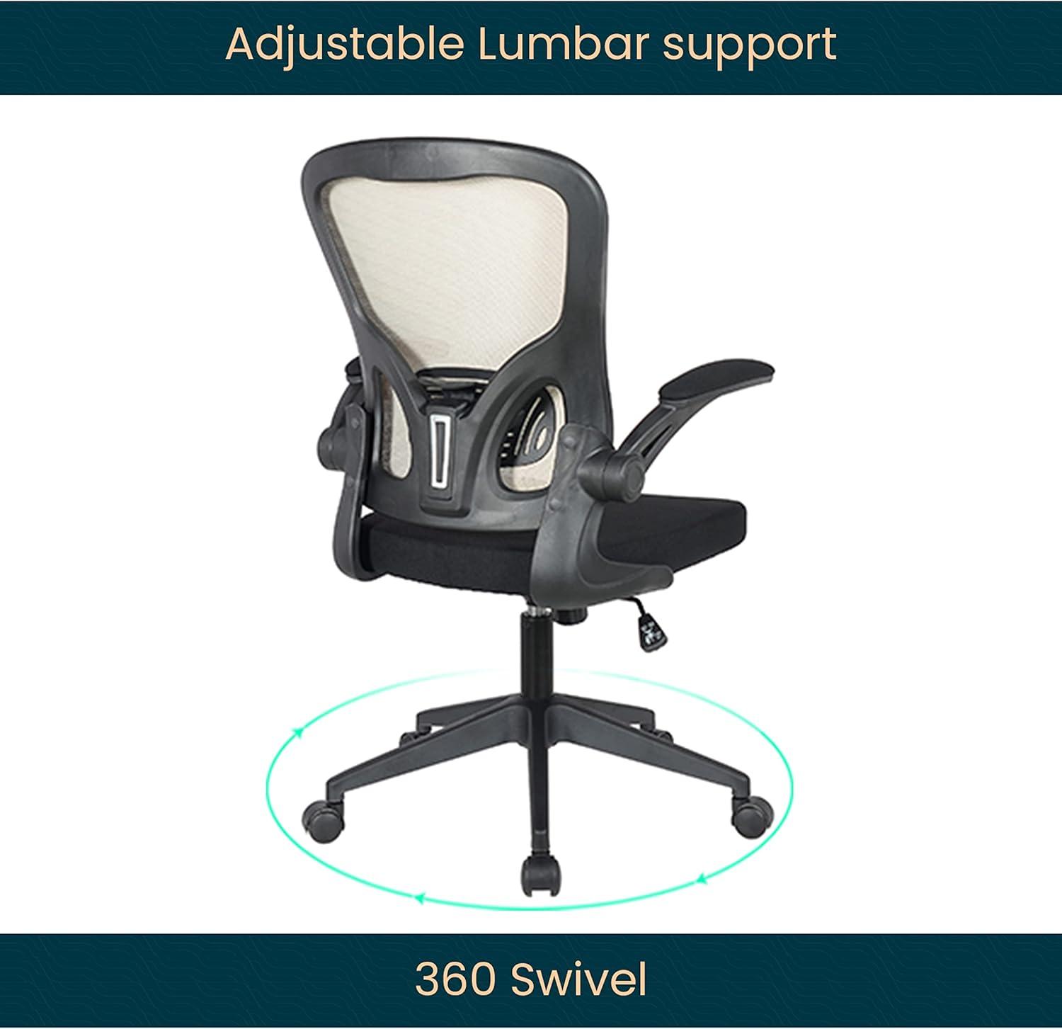LeisureMod Newton Single Ergonomic Mesh Lumbar Support Adjustable Height Swivel Office Chair