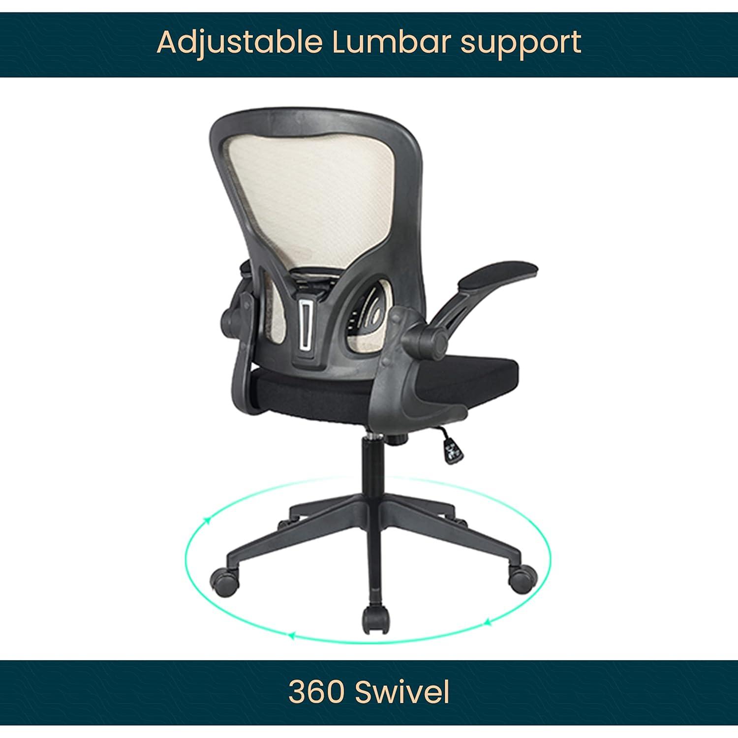 LeisureMod Newton Single Ergonomic Mesh Lumbar Support Adjustable Height Swivel Office Chair