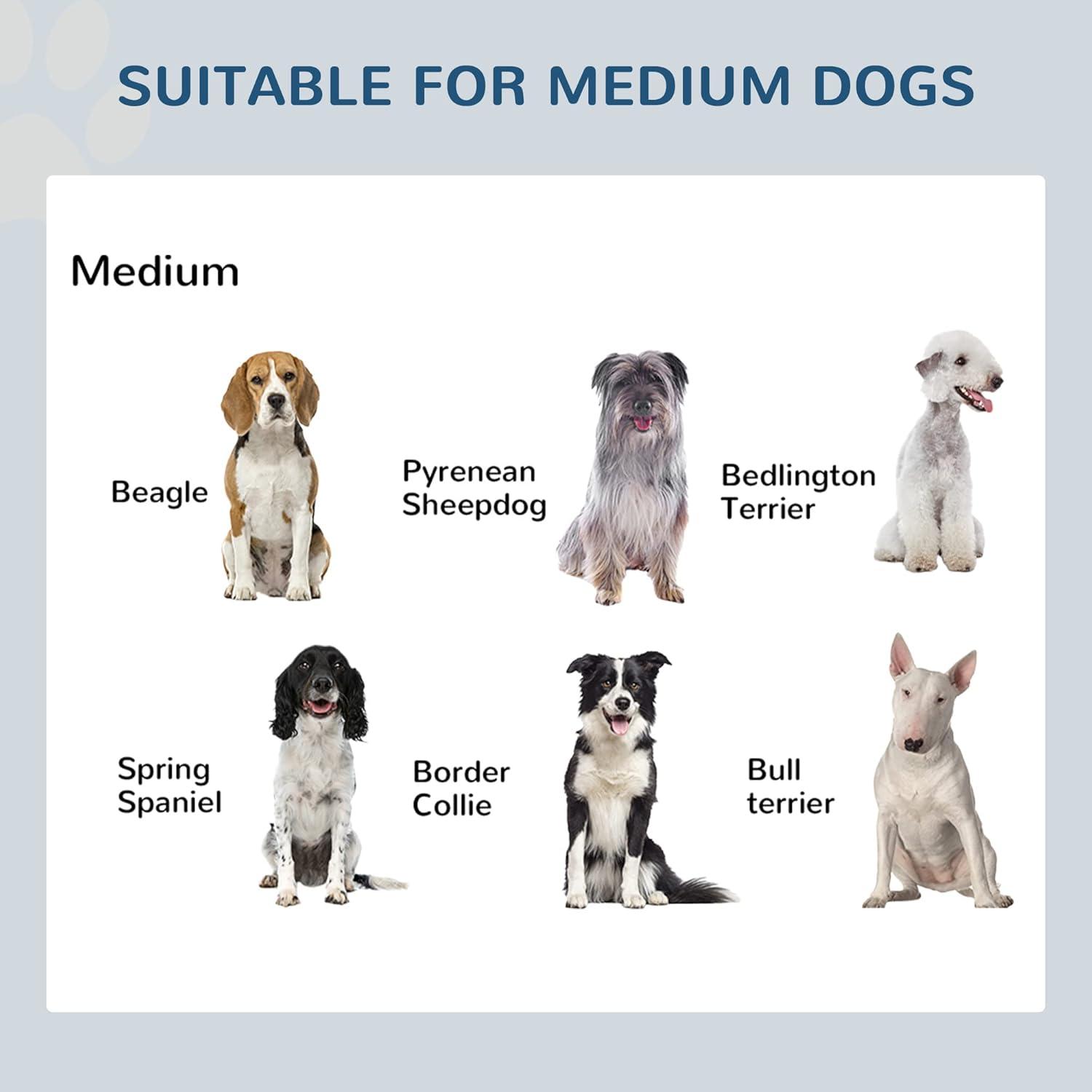 PawHut 22" Double Stainless Steel Heavy Duty Dog Food Bowl Elevated Pet Feeding Station for Medium Sized Dogs