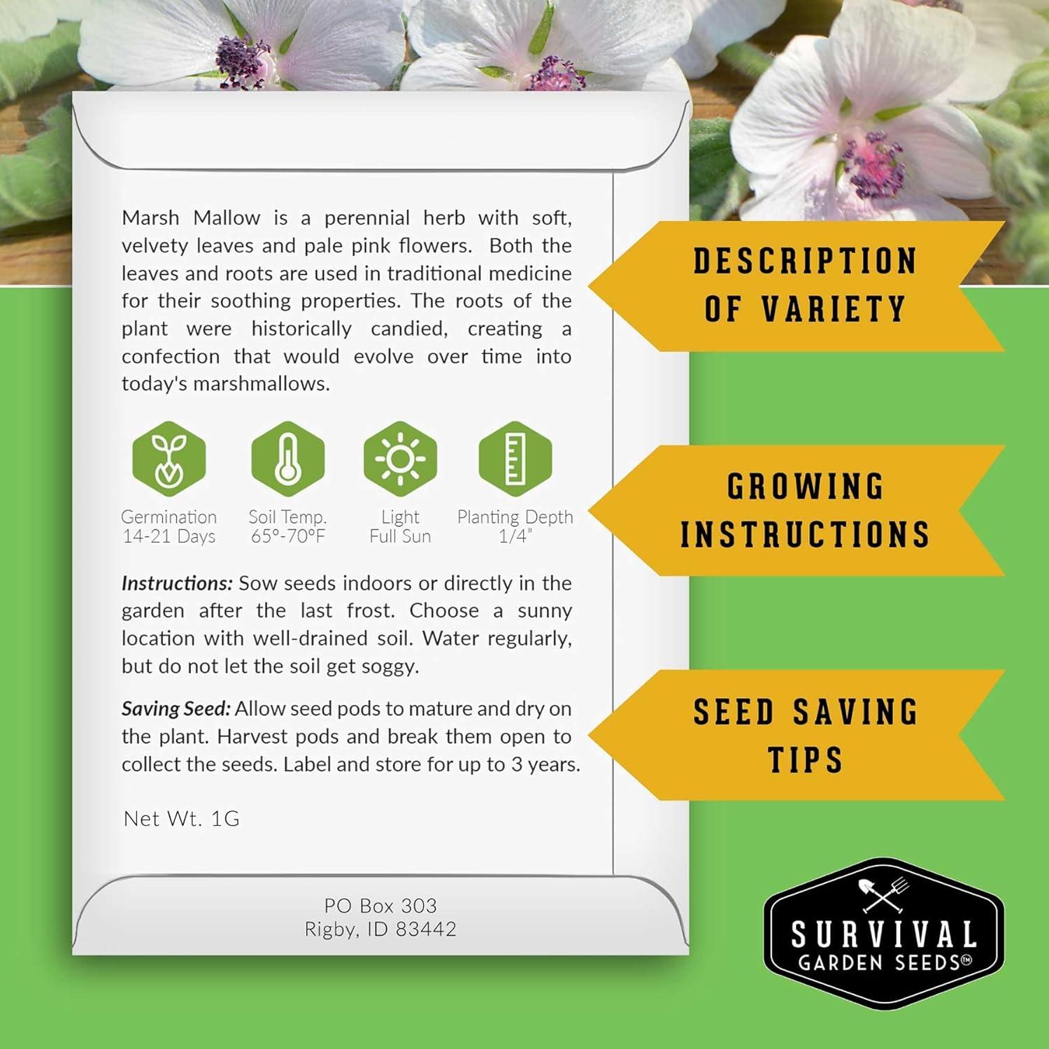 3 Packs Marsh Mallow Seed - Rare Medicinal Flowering Herbs - Non-GMO Heirloom Perennial Full Sun