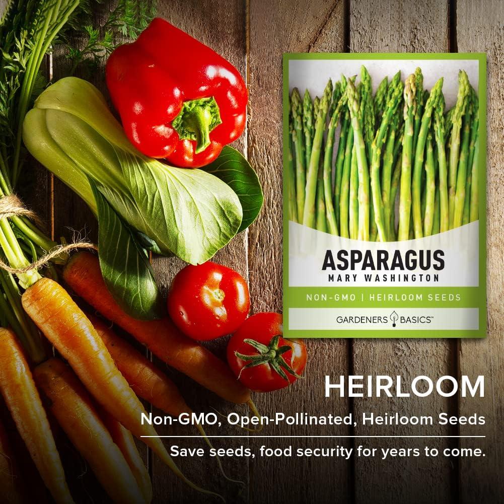 Mary Washington Non-GMO Heirloom Asparagus Seeds for Spring Planting