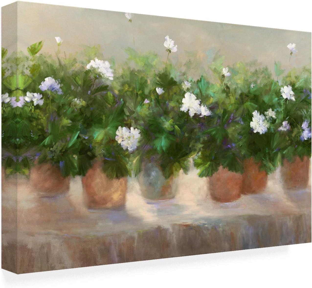 Trademark Fine Art 'White Geraniums' Canvas Art by Sheila Finch