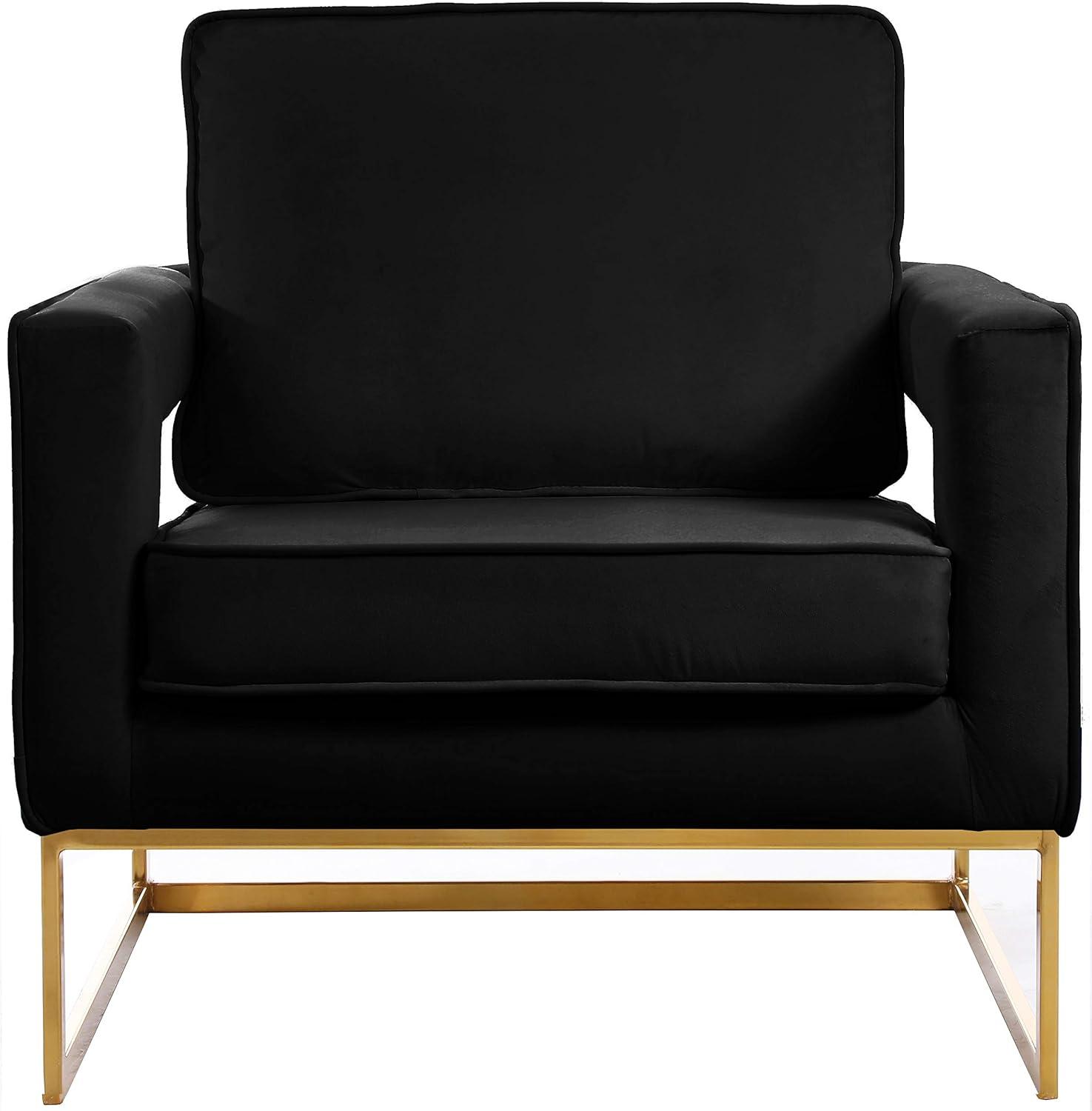 Meridian Furniture Noah 19"H Velvet Accent Chair in Black and Gold