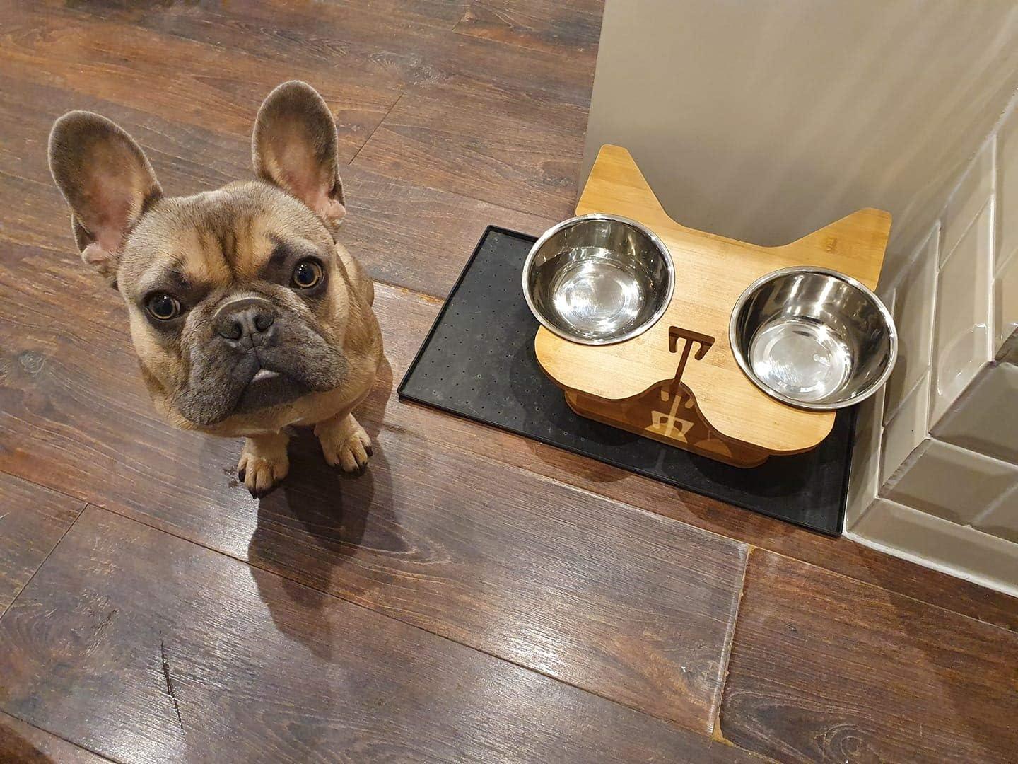 Large Elevated Bamboo and Stainless Steel Dog Feeder