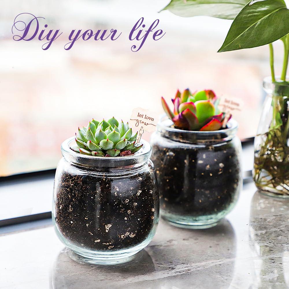 40 Pack Syntic 7oz Thick Candle Jars for Making Candles, Empty Container with with Cork Lids, PE Lids for Gift Favors, Party decorate Clear