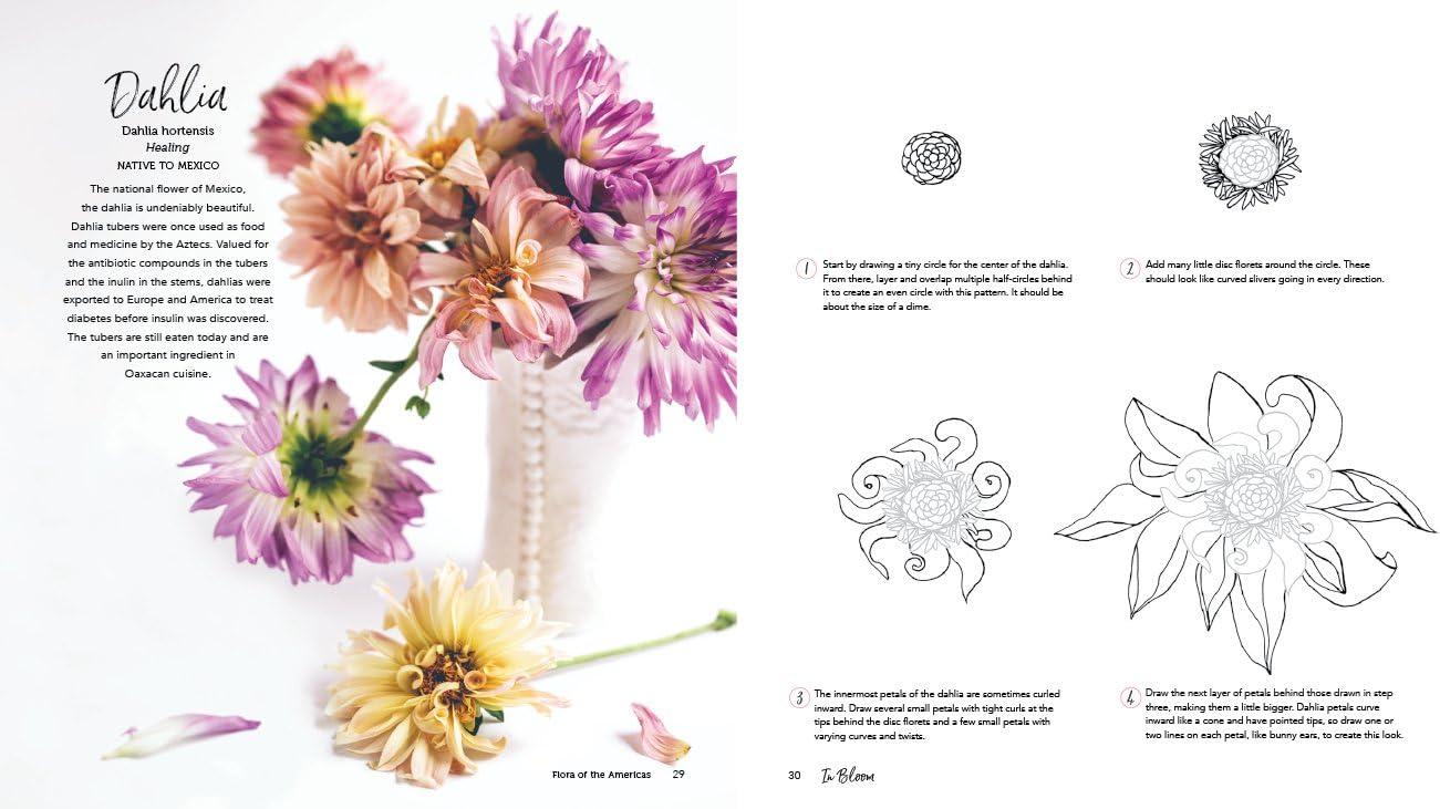 In Bloom: A Step-By-Step Guide to Drawing Lush Florals - An Easy How-To-Draw Flowers Book for Beginners, (Paperback)