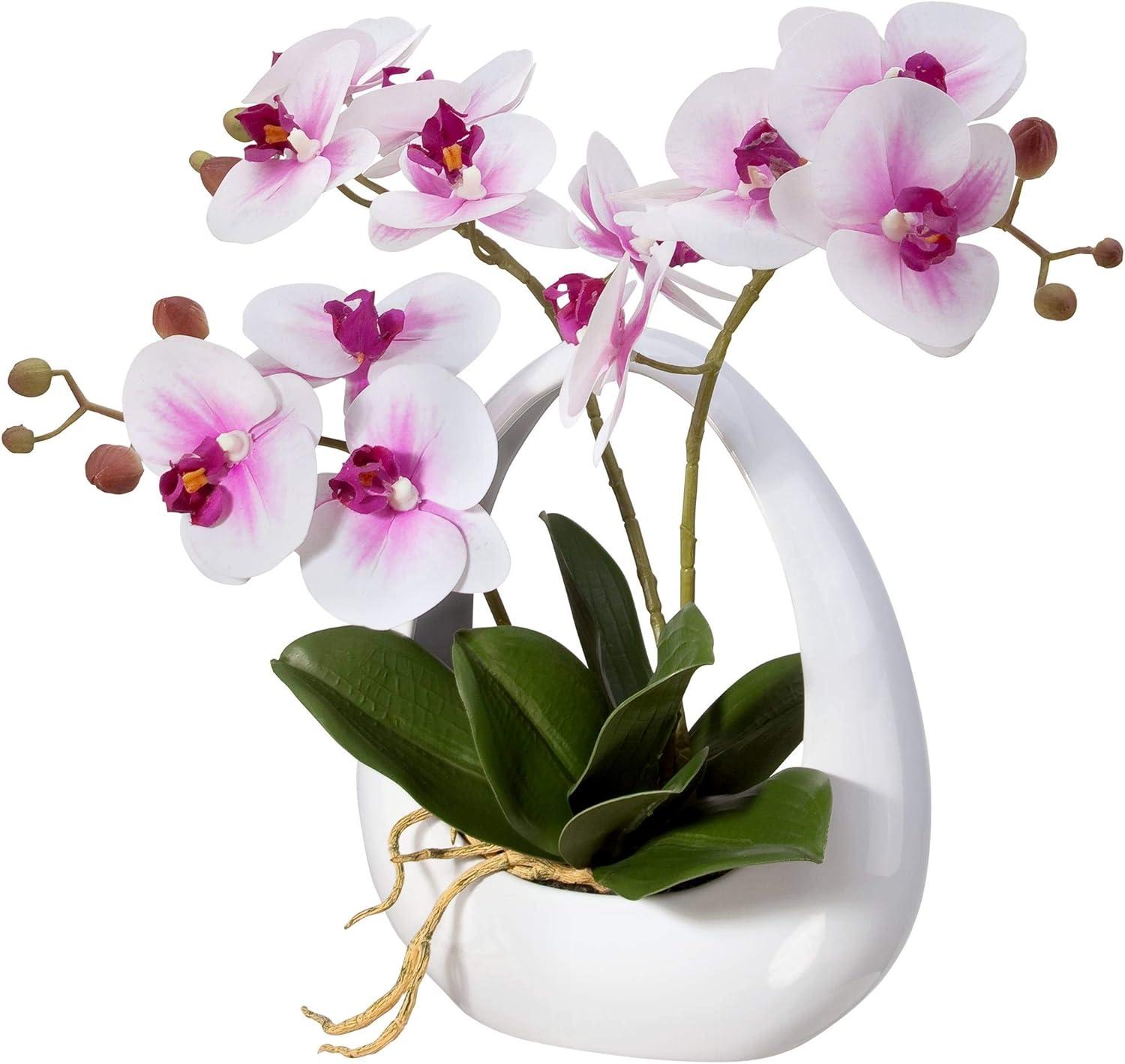 Dahlia Studios Potted Faux Artificial Flowers Realistic Pink White Phalaenopsis Orchid in Pot Home Decoration Living Room 13" High