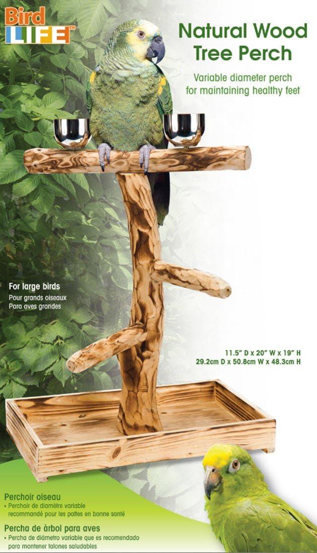 Penn-Plax Bird-Life Natural Wood Tree Perch – Large – 19” Height, Brown