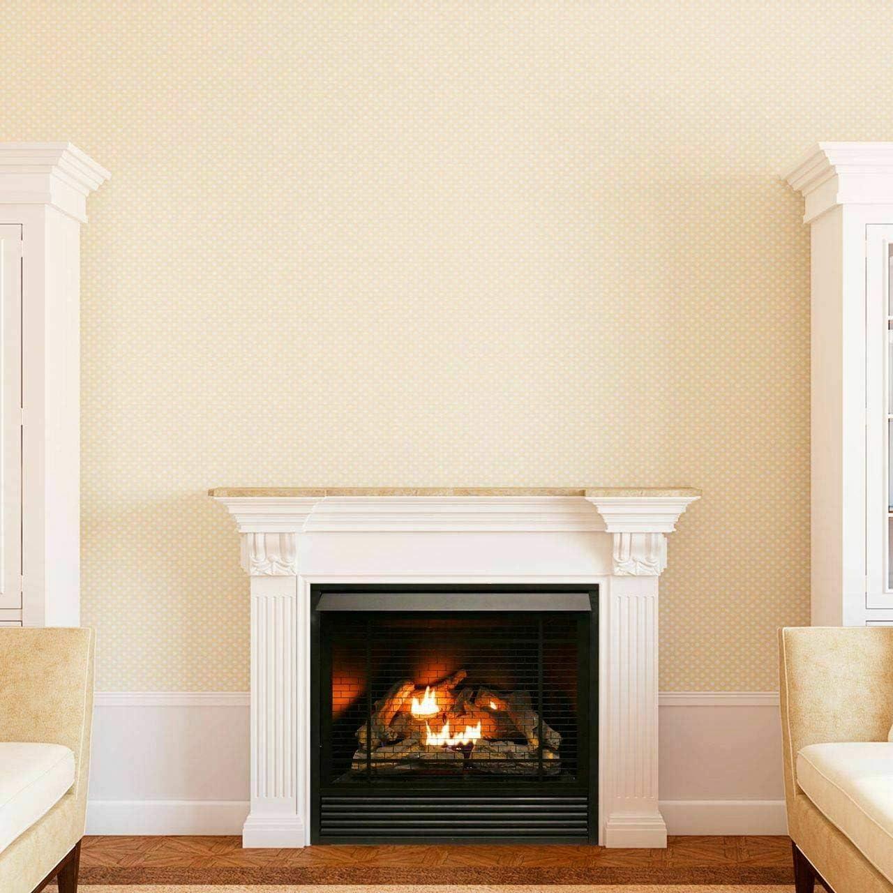 Duluth Forge Dual Fuel Ventless Fireplace Insert - 32,000 BTU, Remote Control FDI32R