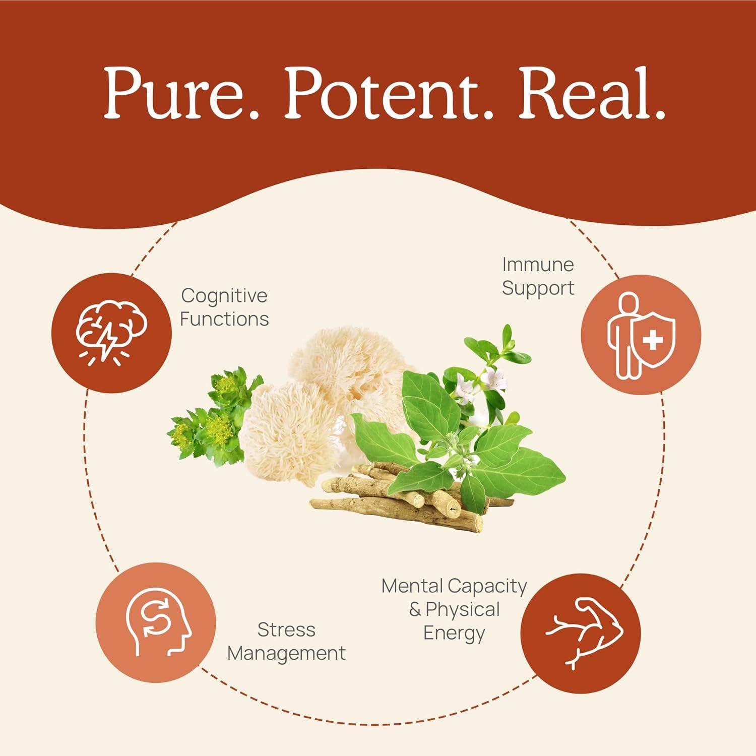 Real Mushrooms RealClarity, Mushrooms + Herbs, 60 Capsules