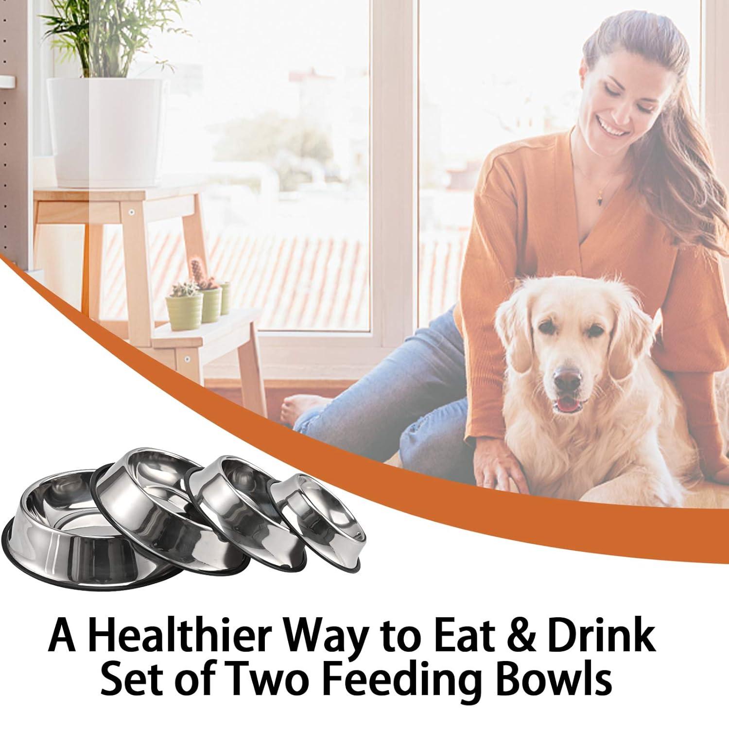 2 pack stainless steel dog bowl with non slip rubber base for small/medium/large pets, perfect dishes, pet feeder bowl and water bowl, suitable for puppies, kittens, and kittens (8 oz)