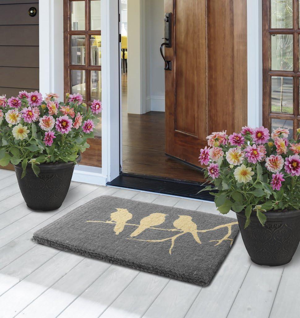 FH Home Floral Extra Thick Doormat - Handwoven, Durable - Natural Coir - Entryway, Front Door, Porch, Patio - Field of Poppies Red (18" x 30" Thick)