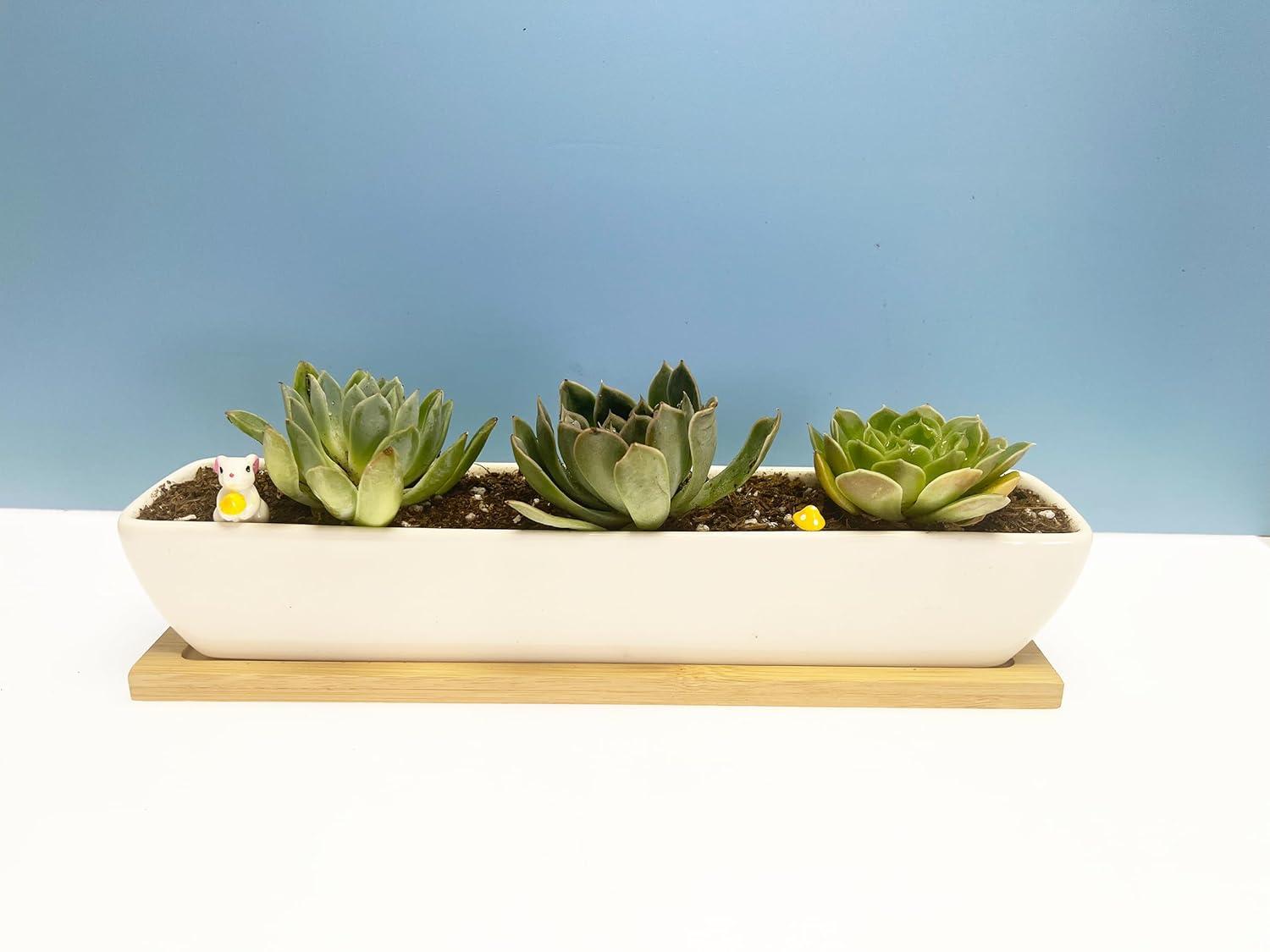 Kipokalor Rectangular Long Succulent Planter Pot,1 Set 11.1x2.36x1.77inch Long Modern Minimalist White Ceramic with Saucer for Office,Desk,Window.
