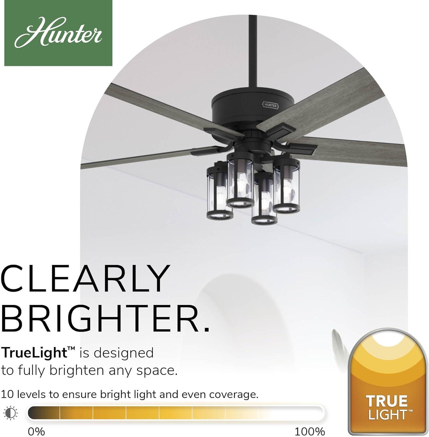 Hunter Fan Hunter 52 inch Astwood II Ceiling Fan with Lights and Remote