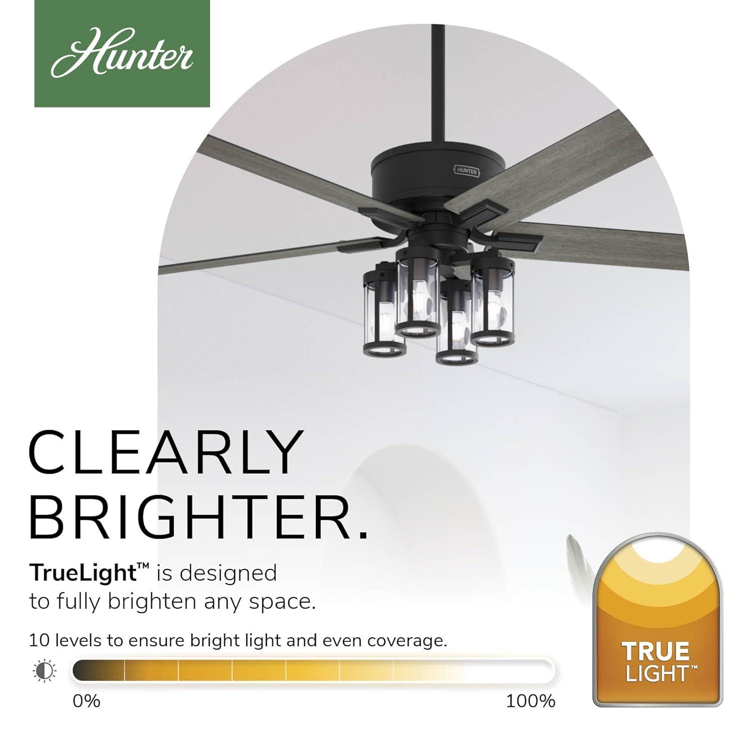 Hunter Fan Hunter 52 inch Astwood II Ceiling Fan with Lights and Remote