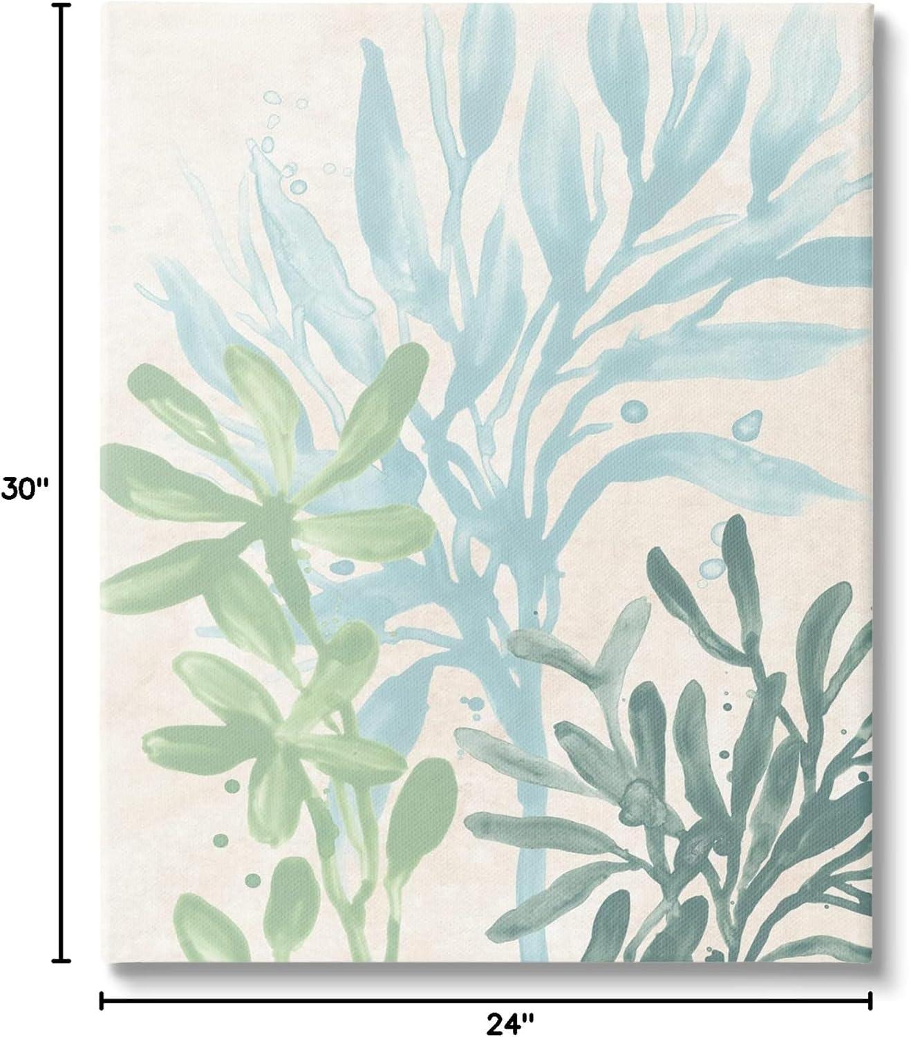 Stupell Industries " Underwater Seaweed Botanicals " by June Erica Vess Painting Print