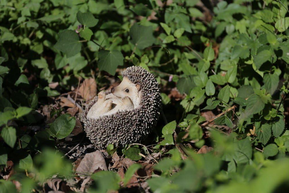 Hi-Line Gift Ltd. Hedgehog On Back Statue