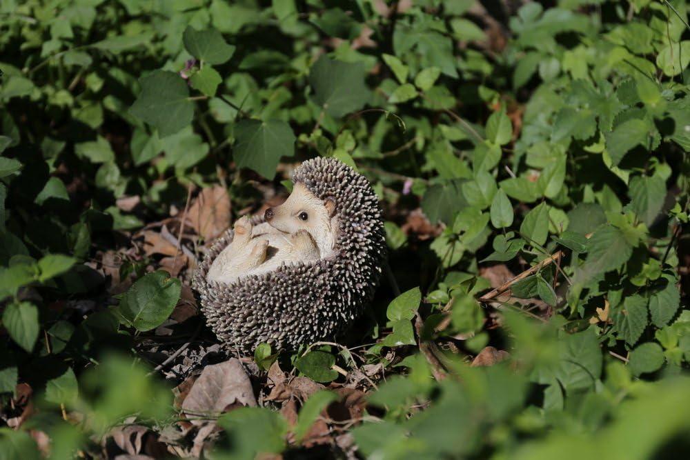 Hedgehog On Back Statue