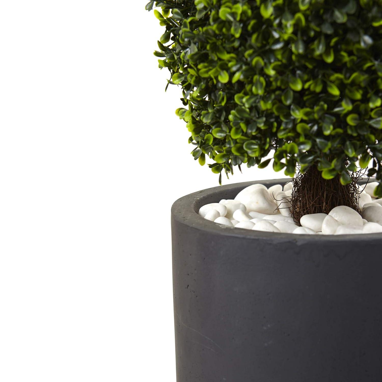 50" Boxwood Topiary with Gray Cylindrical Planter - Nearly Natural: UV Resistant, Indoor & Outdoor Decor