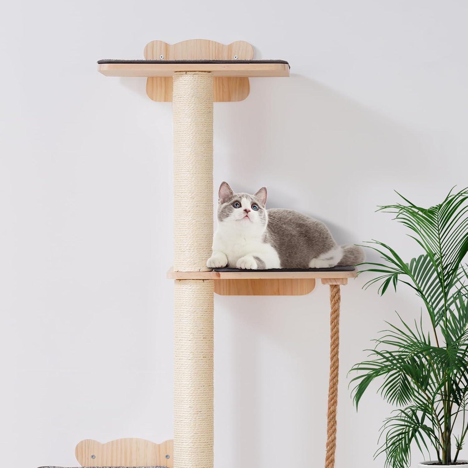 Natural Pine Wood Multi-Level Cat Wall Shelf Set