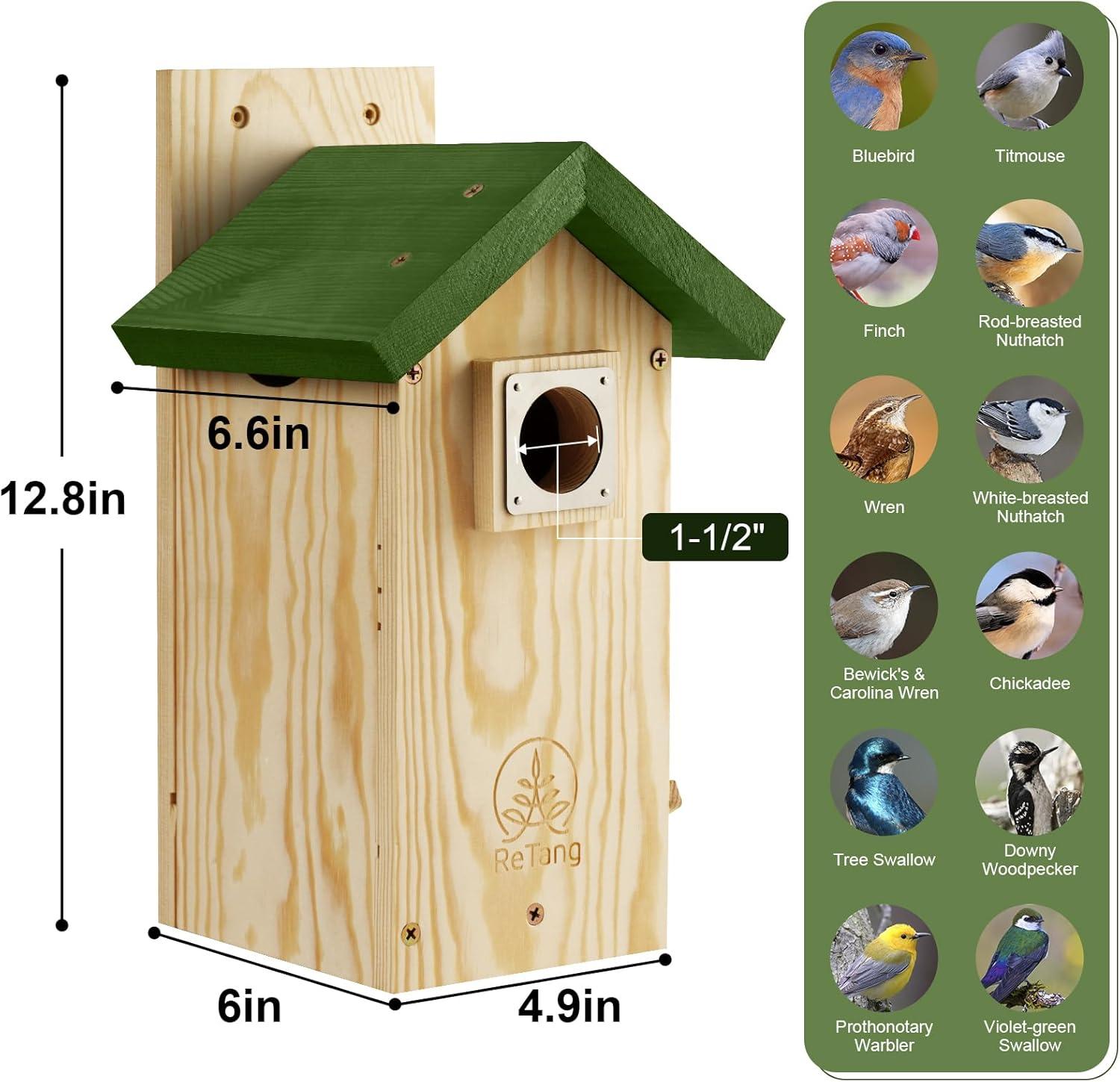 Natural Cedar Bird House with Green Metal Roof