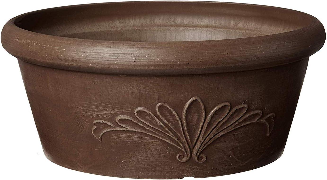 Arcadia PSW Pot TA25C Collection Shallow Bulb Pan Planter Dish Low Bowl for Succulents, Bonsai, Fairy Gardens, Herbs, 10-inch, Chocolate