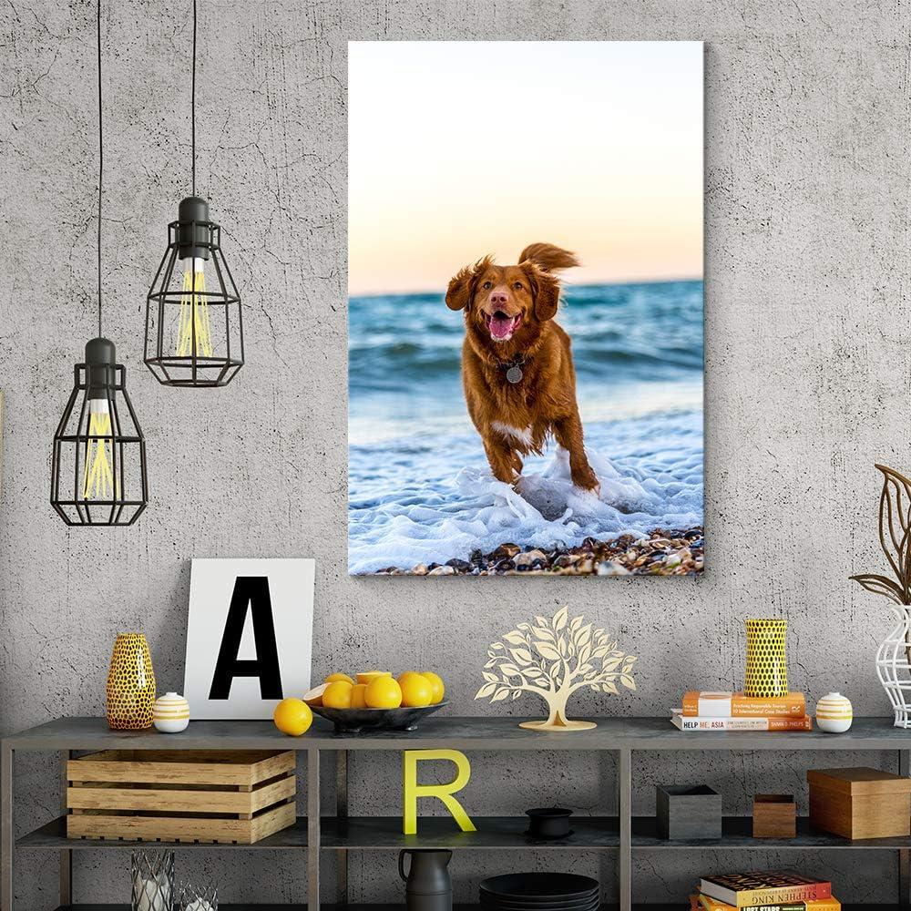 NWT Custom Canvas Prints with Your Photos for Pet/Animal, Personalized Pictures to Canvas for Wall Framed 10x8 inches