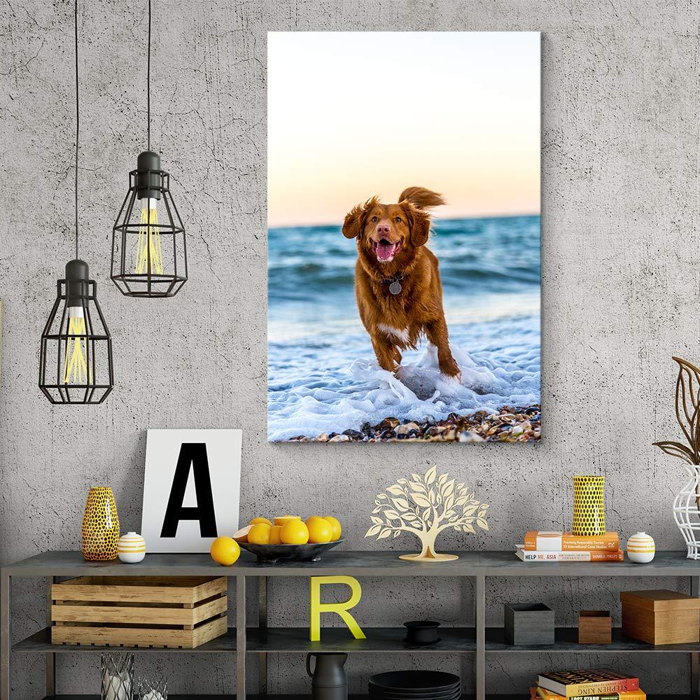 NWT Custom Canvas Prints with Your Photos for Pet/Animal, Personalized Pictures to Canvas for Wall Framed 10x8 inches
