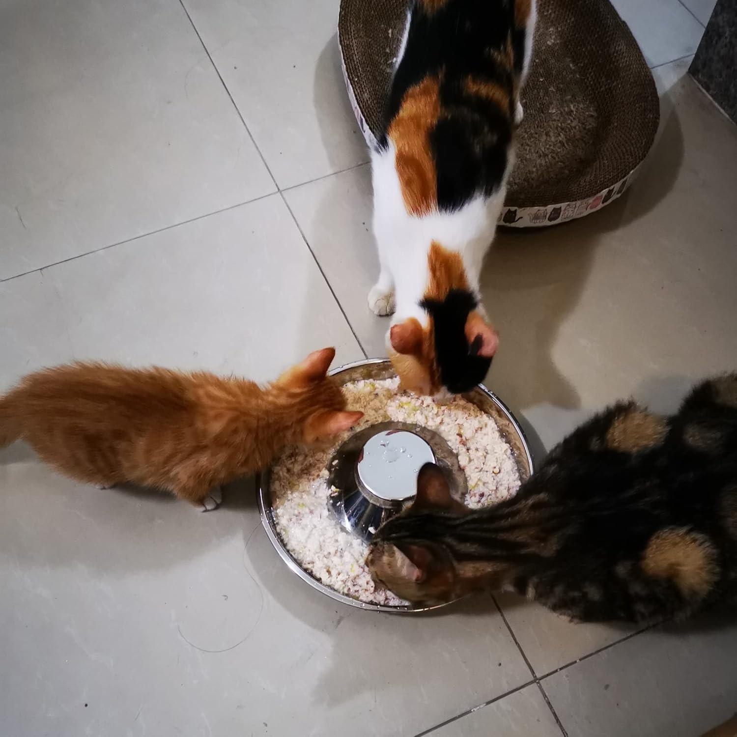 Puppy Dog Bowl, Stainless Steel Multiple Puppies Feeder, Dogs Basic Food and Water Bowls Weaning Dish for Small, Medium and Large Dogs Pets