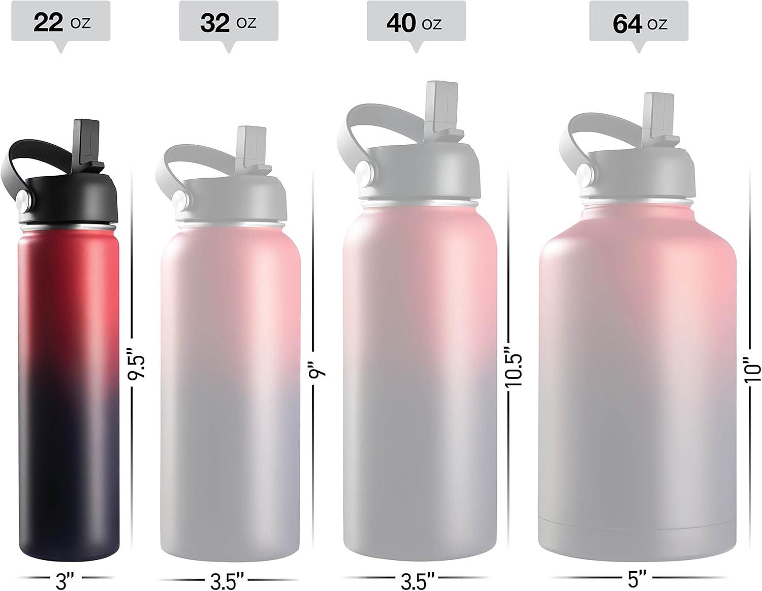 Brewberry Insulated Water Bottle and Travel Mug for Hot and Cold Beverages With Straw