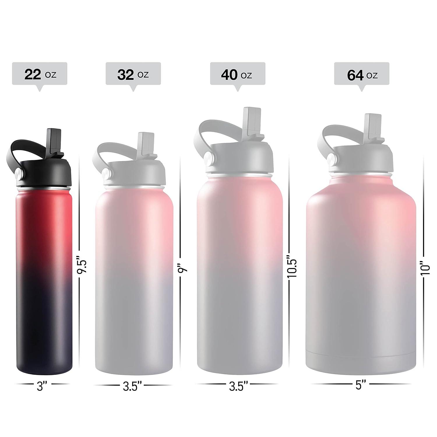 Brewberry Insulated Water Bottle and Travel Mug for Hot and Cold Beverages With Straw