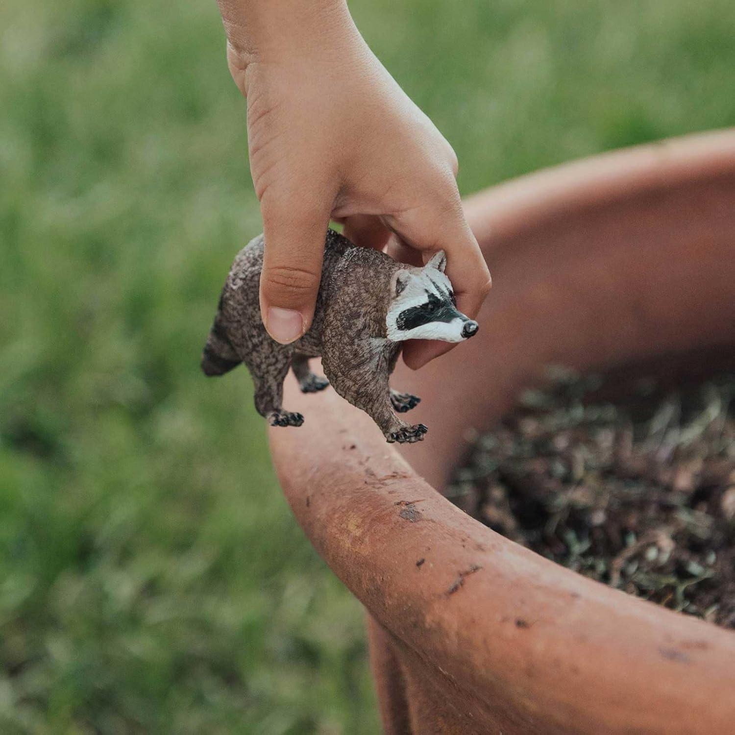 Safari Wild Safari North American Wildlife Raccoon