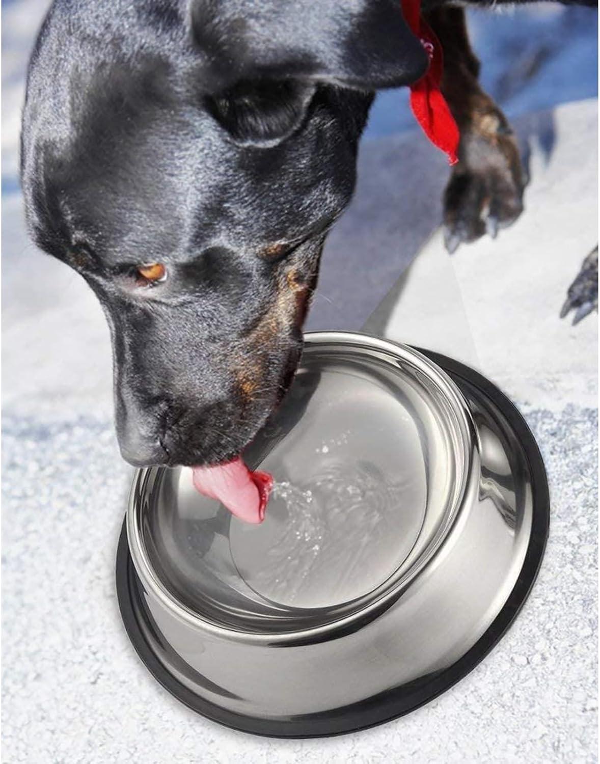 Stainless Steel Non-Skid Pet Food and Water Bowls Set