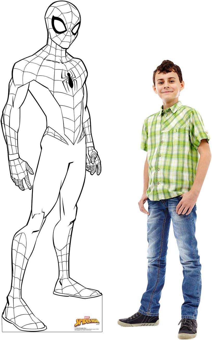 Advanced Graphics 70'' Superheroes & Villains Cardboard Standup