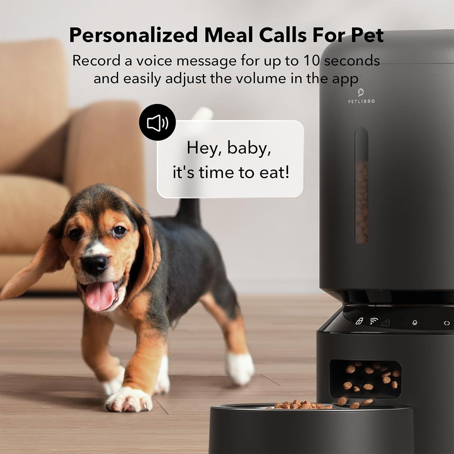 Granary Black Stainless Steel Automatic Pet Feeder with WiFi