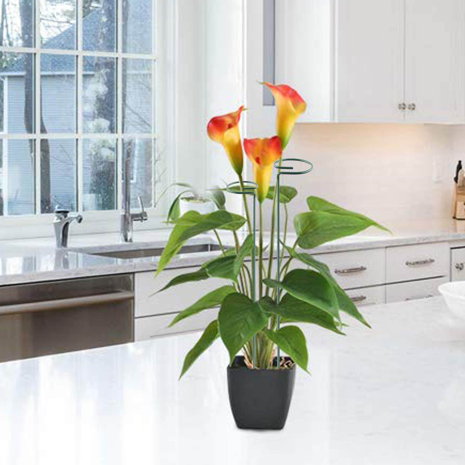 Plant Stake - 6 Pack, Garden Single Stem Stake Plant Cage Rings, Single Stem Plant Stakes, Plant Twist Ties, for Flowers Amaryllis Tomatoes Peony Lily Rose (15.9 inch) C49