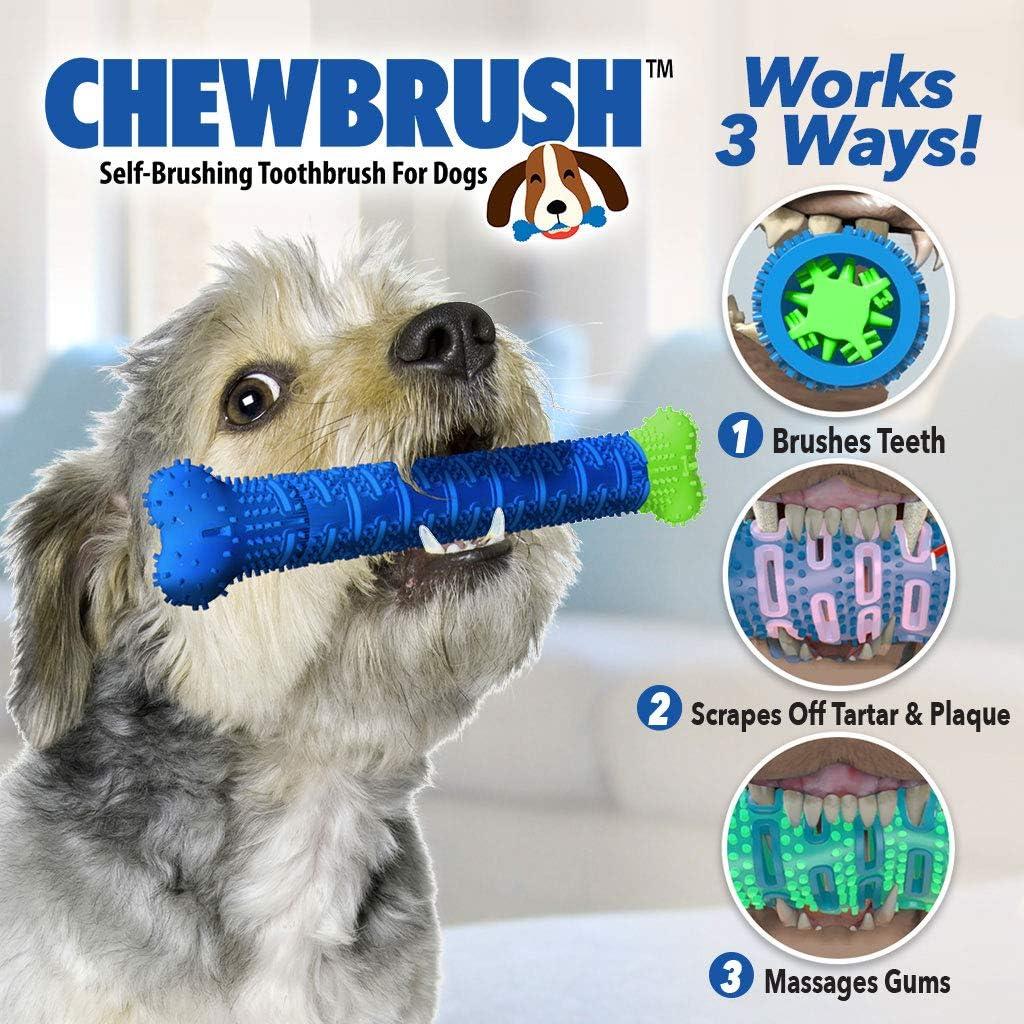 Chew Brush