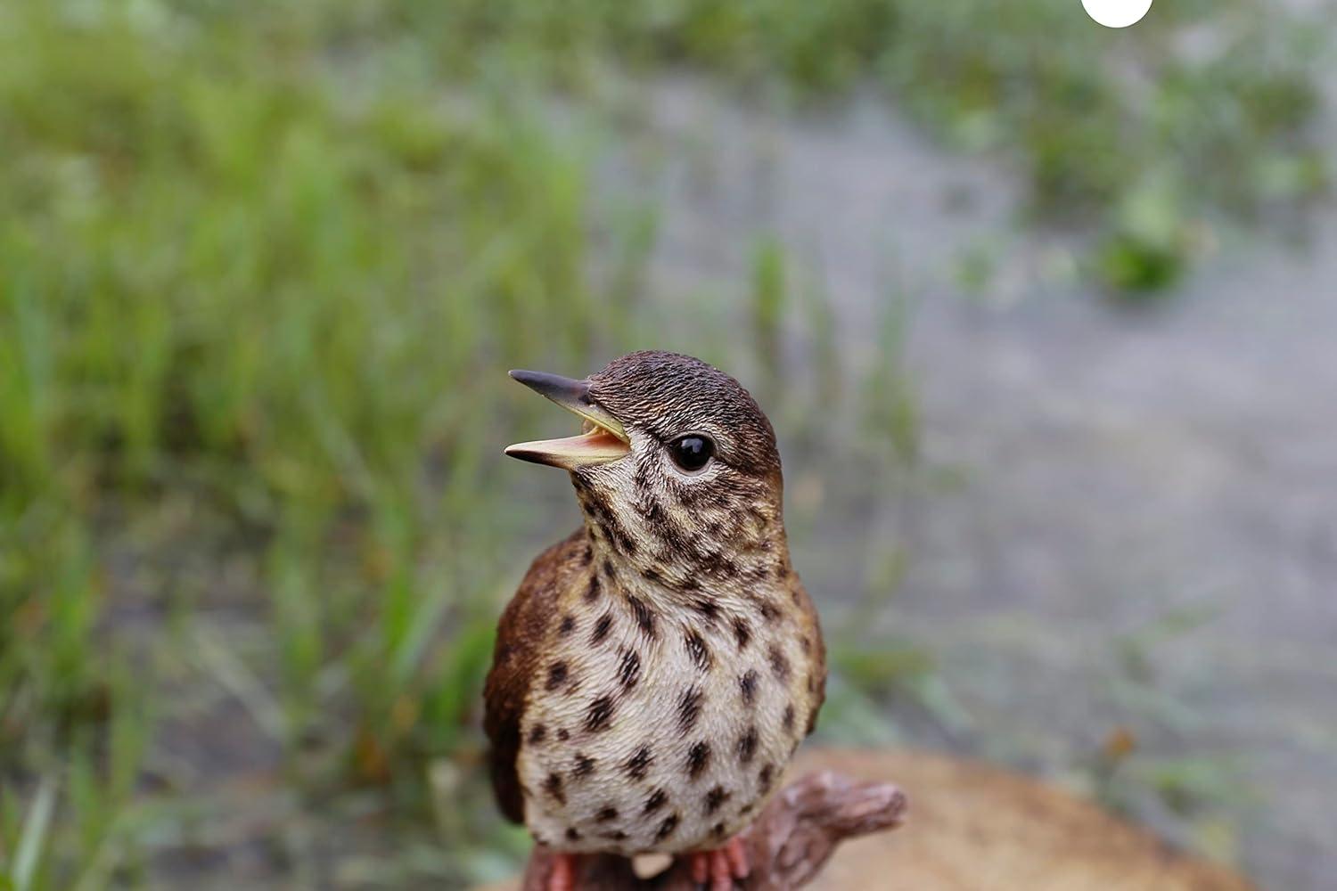 Songbird Standing on Stump Statue