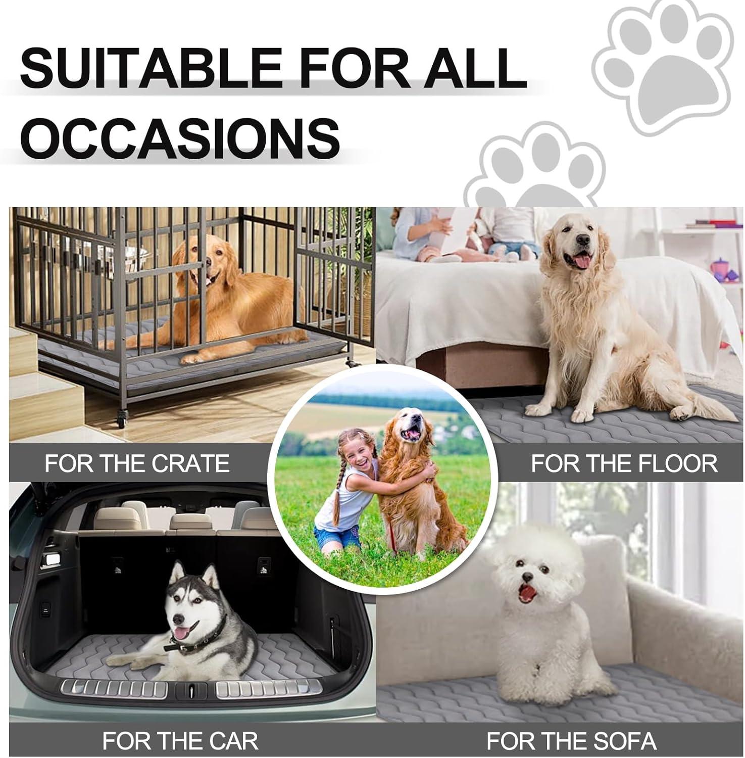 Paw Inspired Washable Padded 42" Crate Mats for Dogs | 41" x 28" Size, Fits 42-inch Kennels | Anti-Slip, Leakproof, Waterproof, Reusable Plush Pet Pads (Gray)