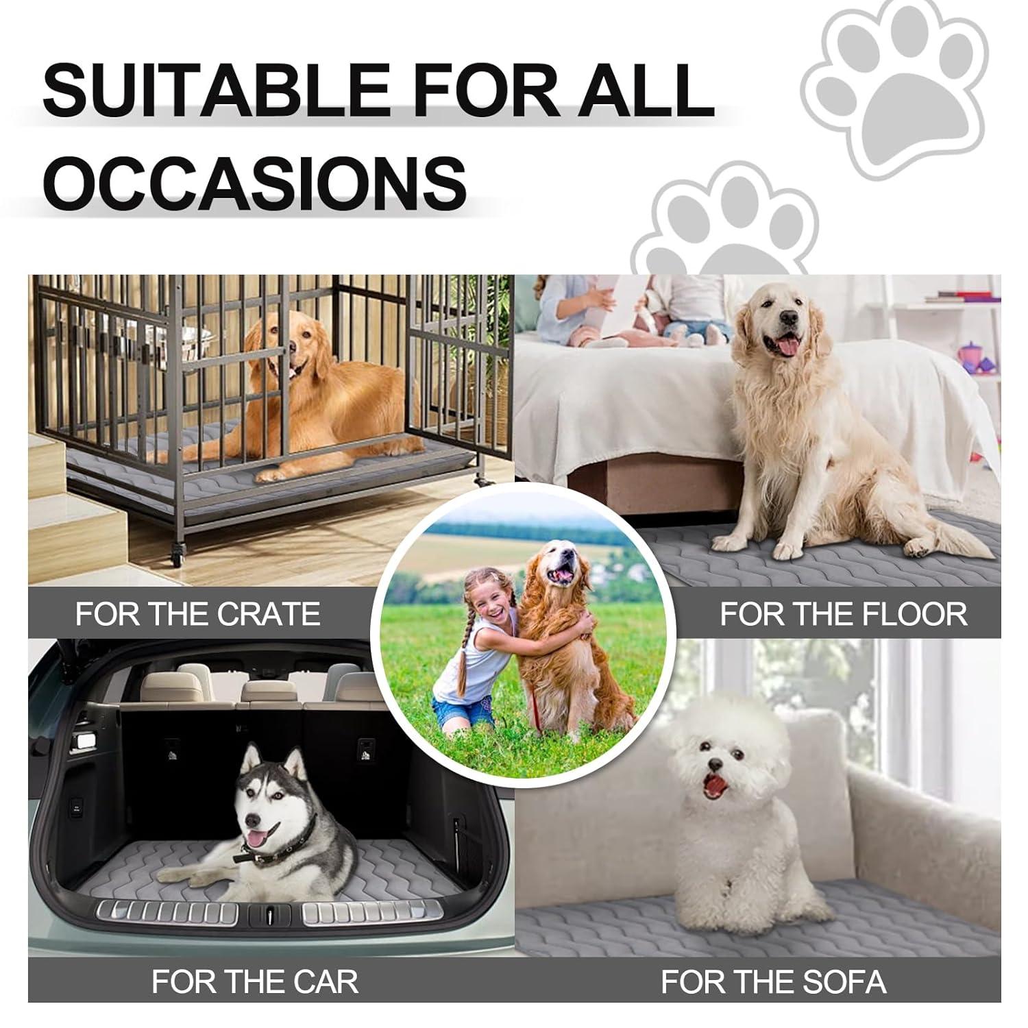 Paw Inspired Washable Padded 42" Crate Mats for Dogs | 41" x 28" Size, Fits 42-inch Kennels | Anti-Slip, Leakproof, Waterproof, Reusable Plush Pet Pads (Gray)