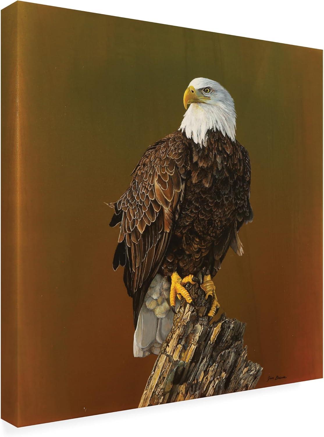 Canvas Wall Art - Jim Brune 'Proud Bald Eagle' Wall Art for Living Room, Bedroom, or Office Décor by Trademark Fine Art - 14 x 14 Inches