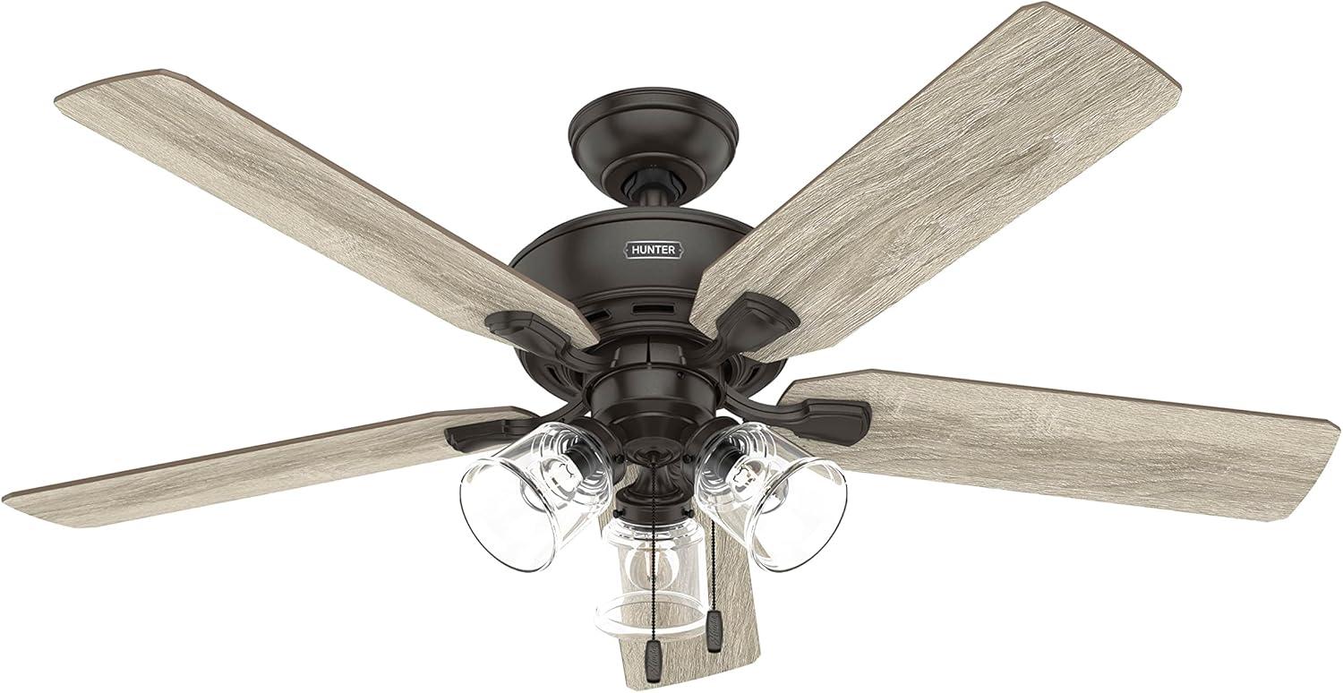 Hunter Fan 52" Rosner 5 - Blade Ceiling Fan With Lights and Pull Chains