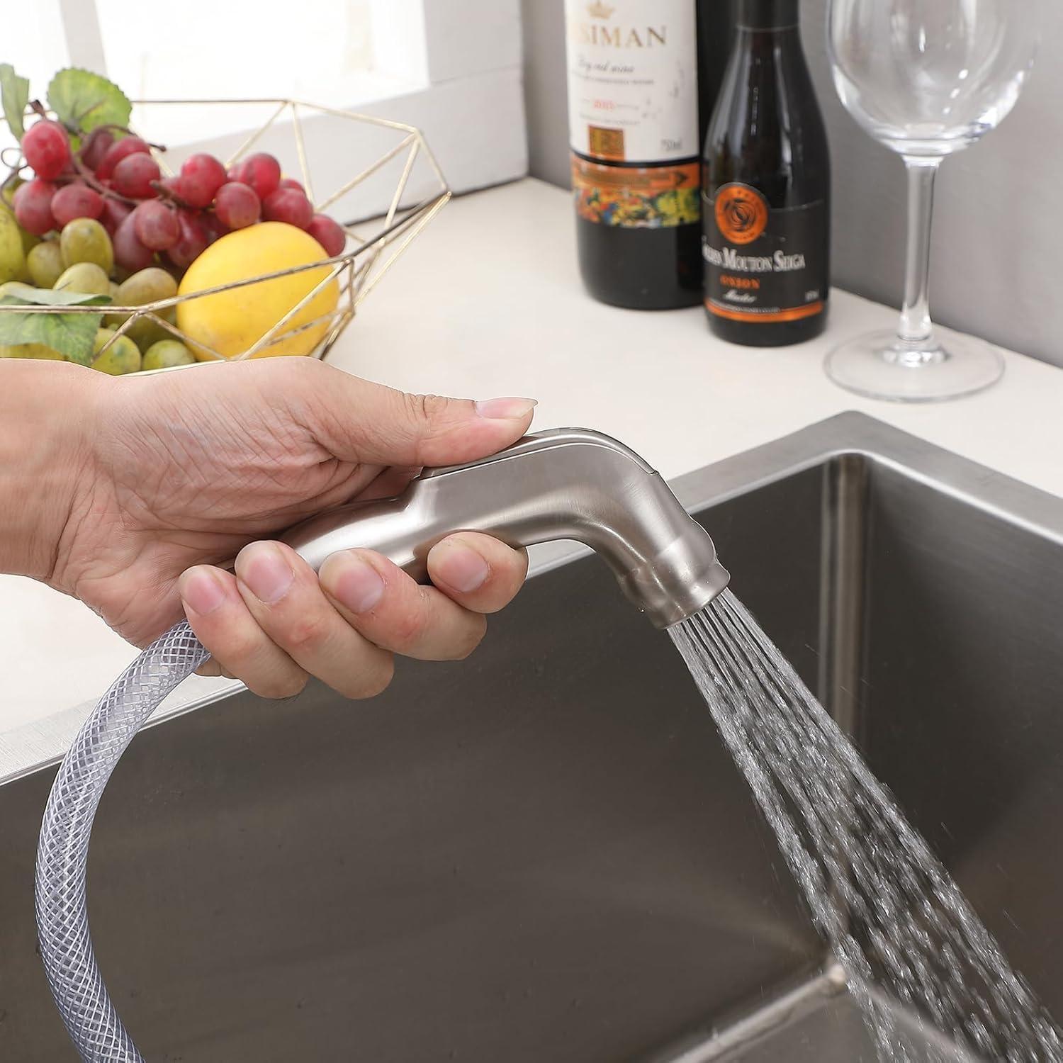 Brushed Nickel 2-Handle Kitchen Faucet with Side Sprayer